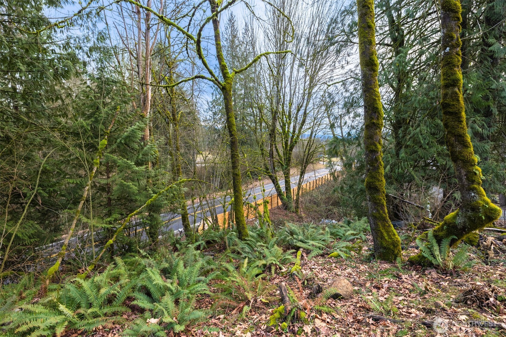 38311 Enumclaw Franklin Rd Se Property Photo 3