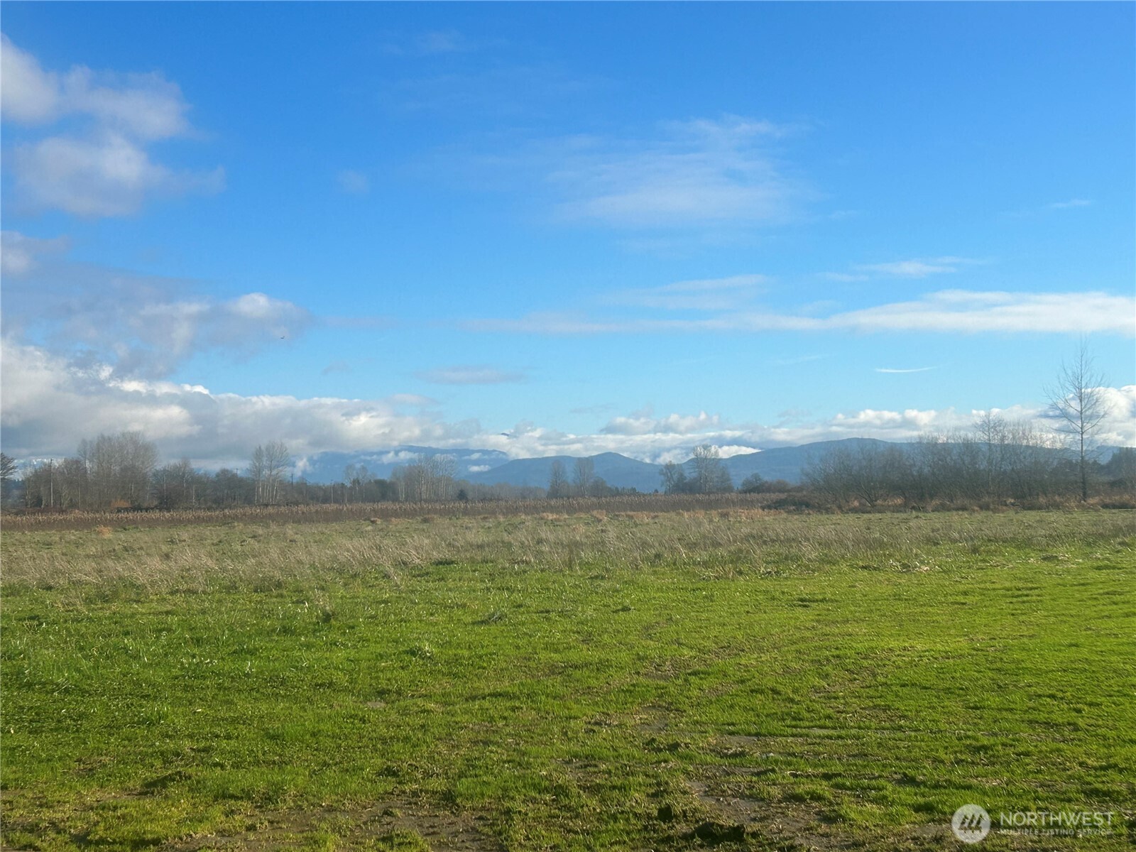 10633 Old Snohomish Monroe Road Property Photo 6