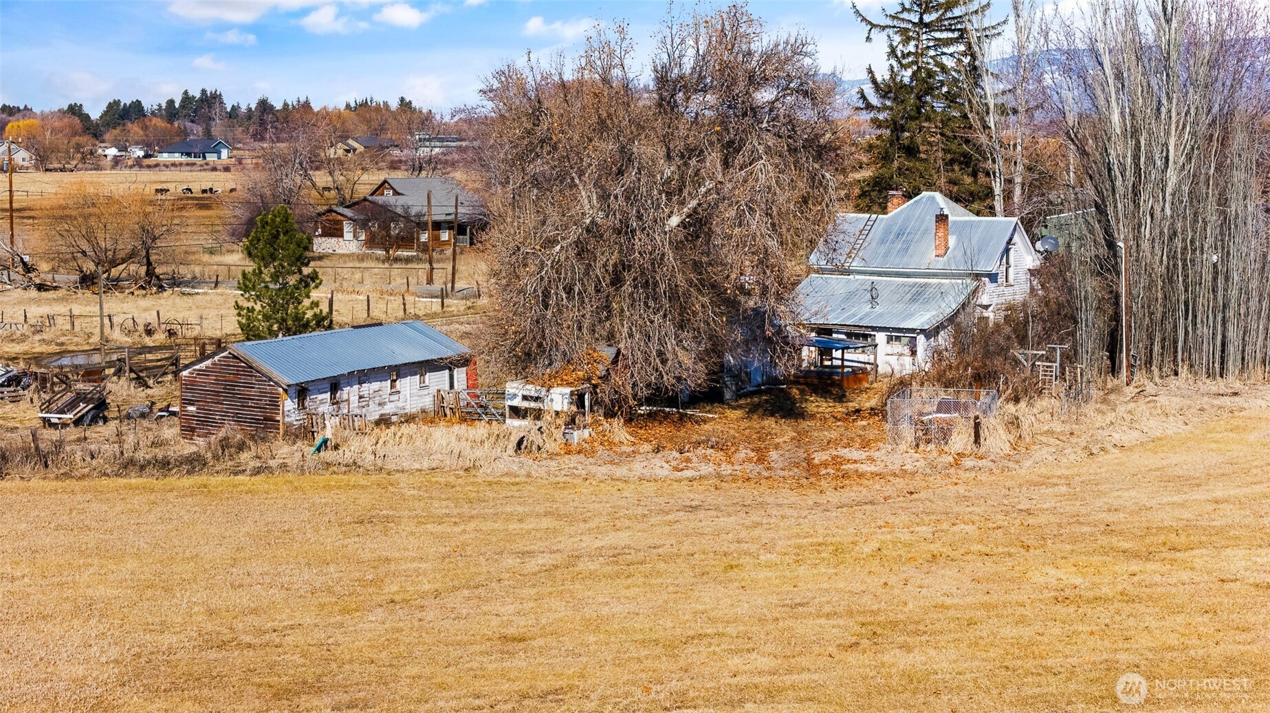 2412 Judge Ronald Road Property Photo 12