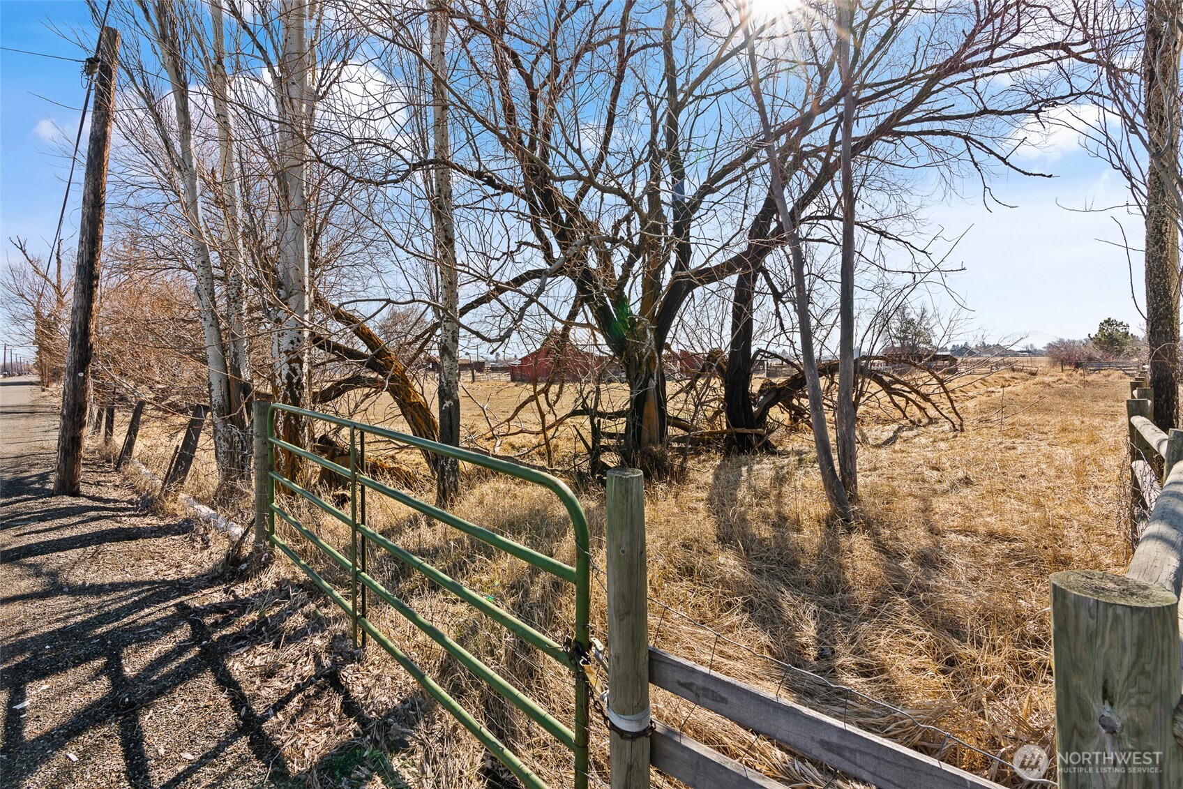 2412 Judge Ronald Road Property Photo 15
