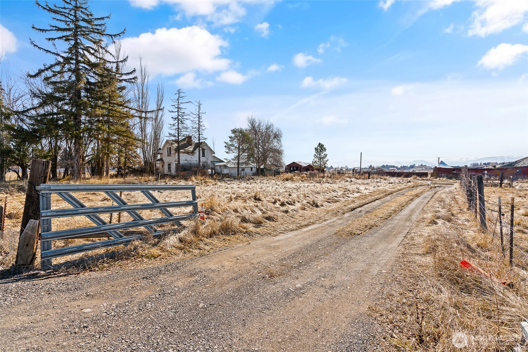 2412 Judge Ronald Road Property Photo 17