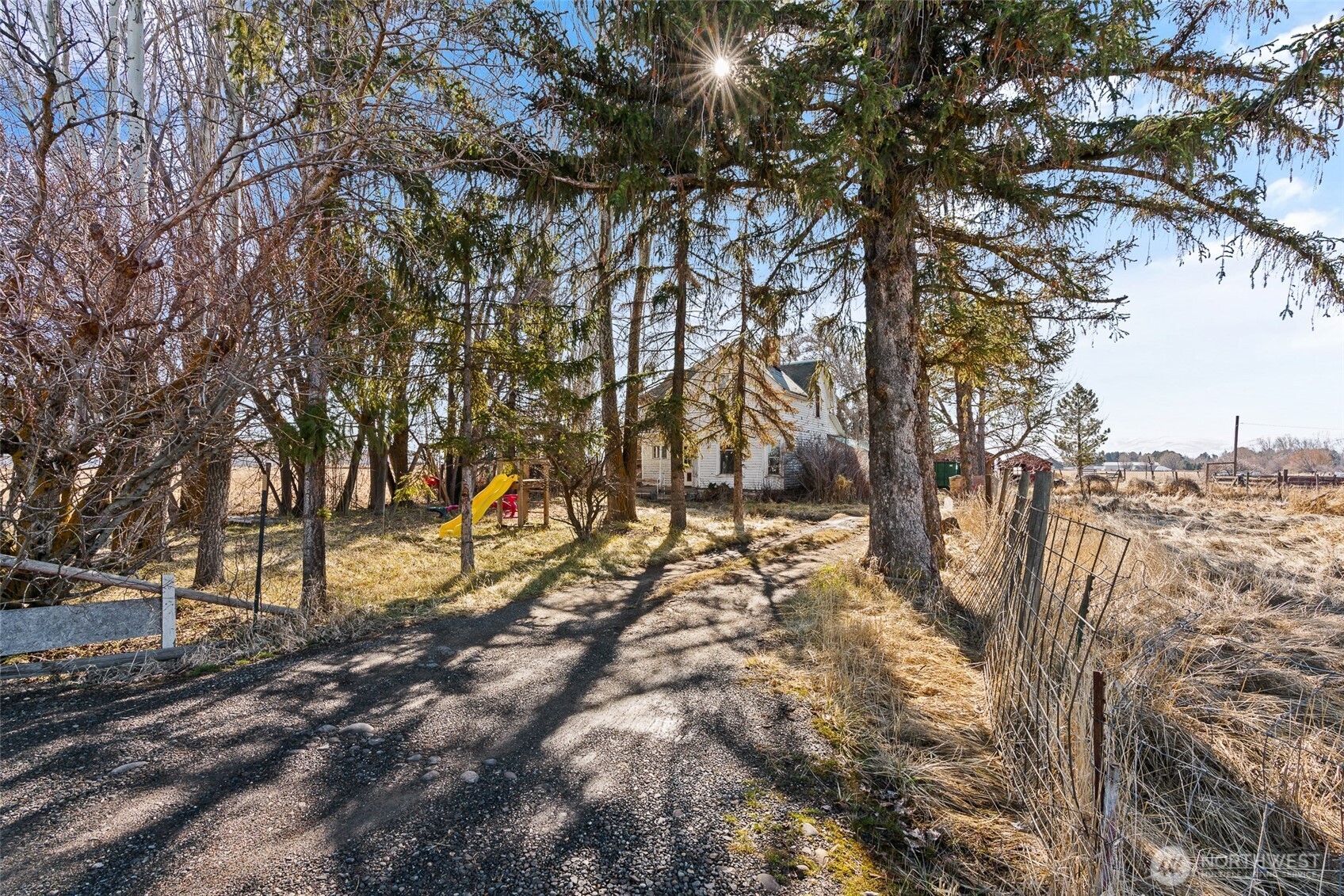 2412 Judge Ronald Road Property Photo 18