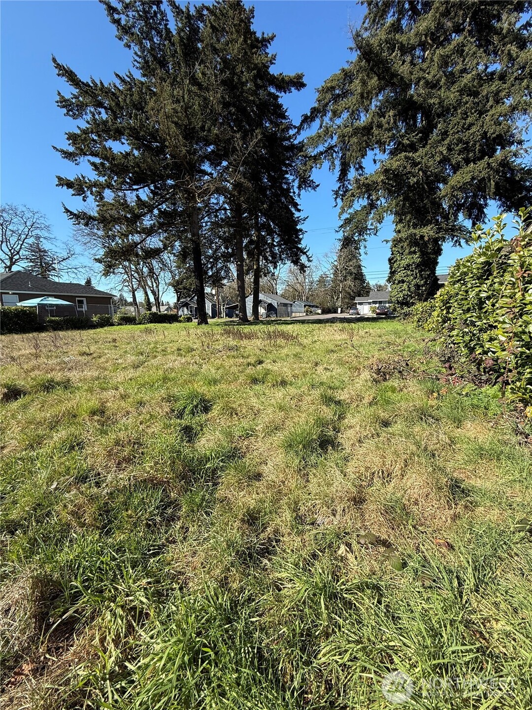 14433 Union Avenue Property Photo 4