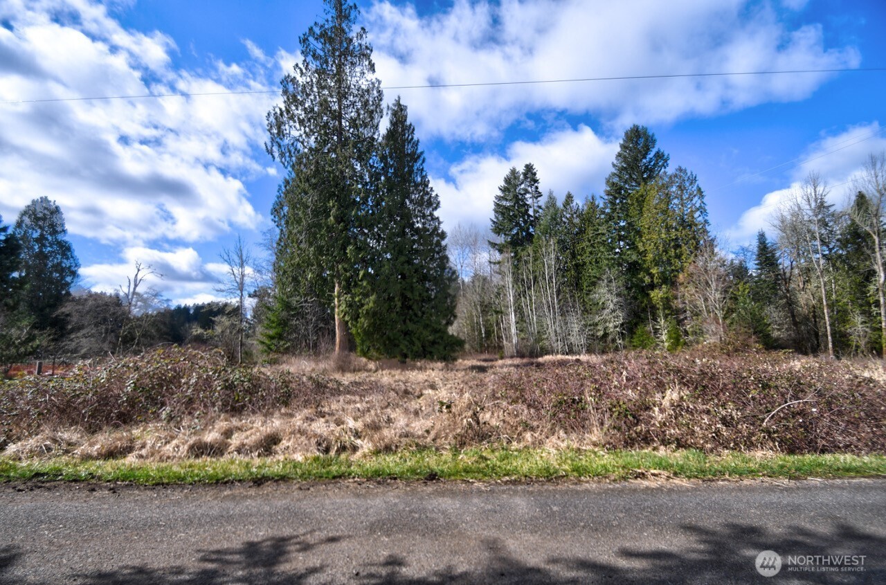 20217 Whitefish Lane Property Photo 4
