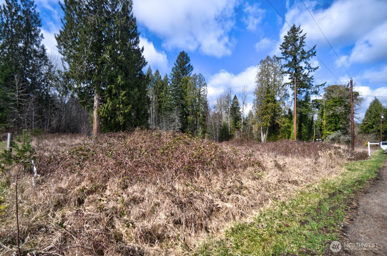 20217 Whitefish Lane Property Photo 13