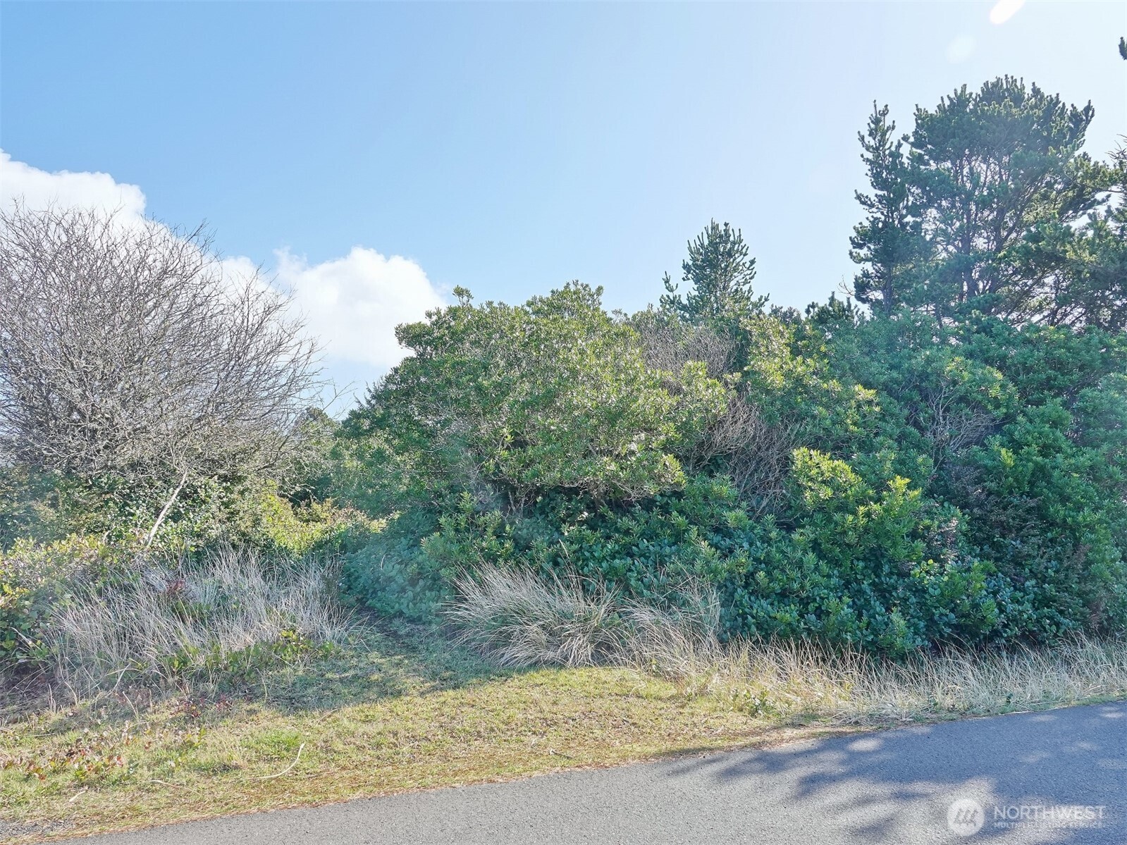 470 Sand Dune Avenue Property Photo 2