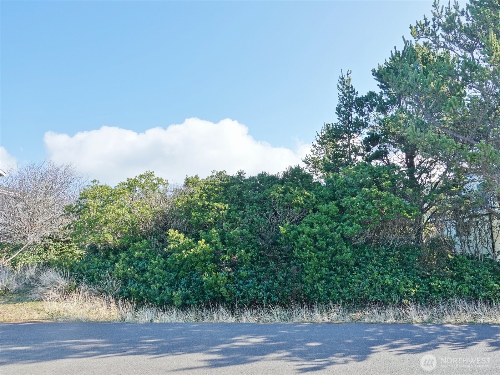 470 Sand Dune Avenue Property Photo 3
