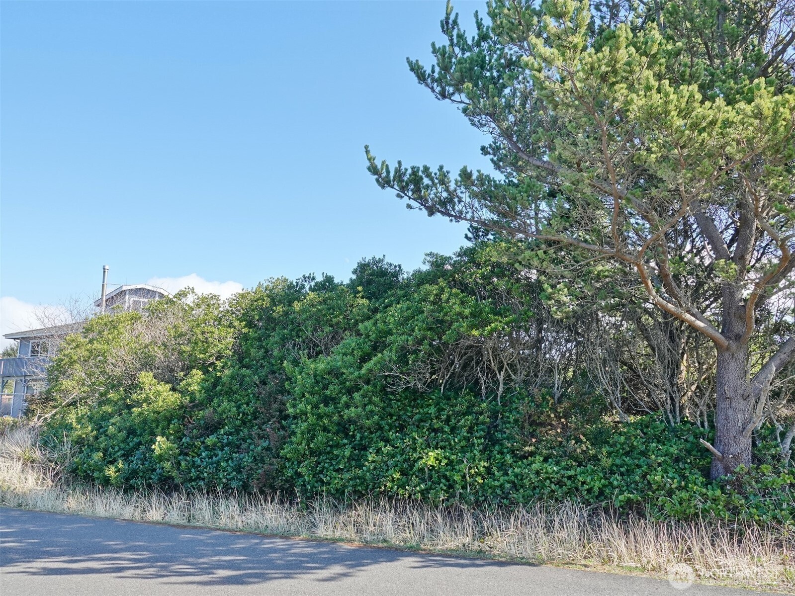 470 Sand Dune Avenue Property Photo 4