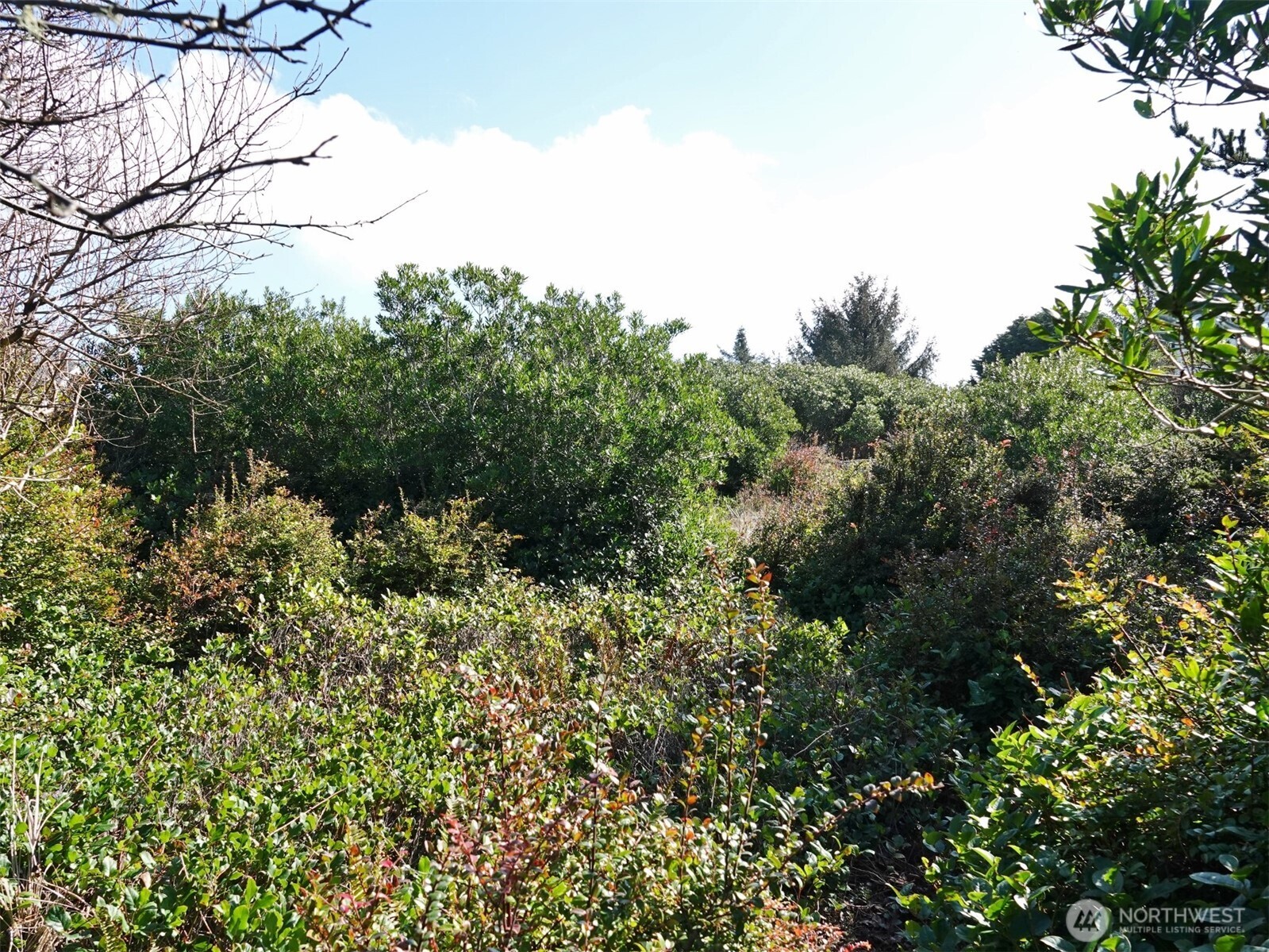 470 Sand Dune Avenue Property Photo 5