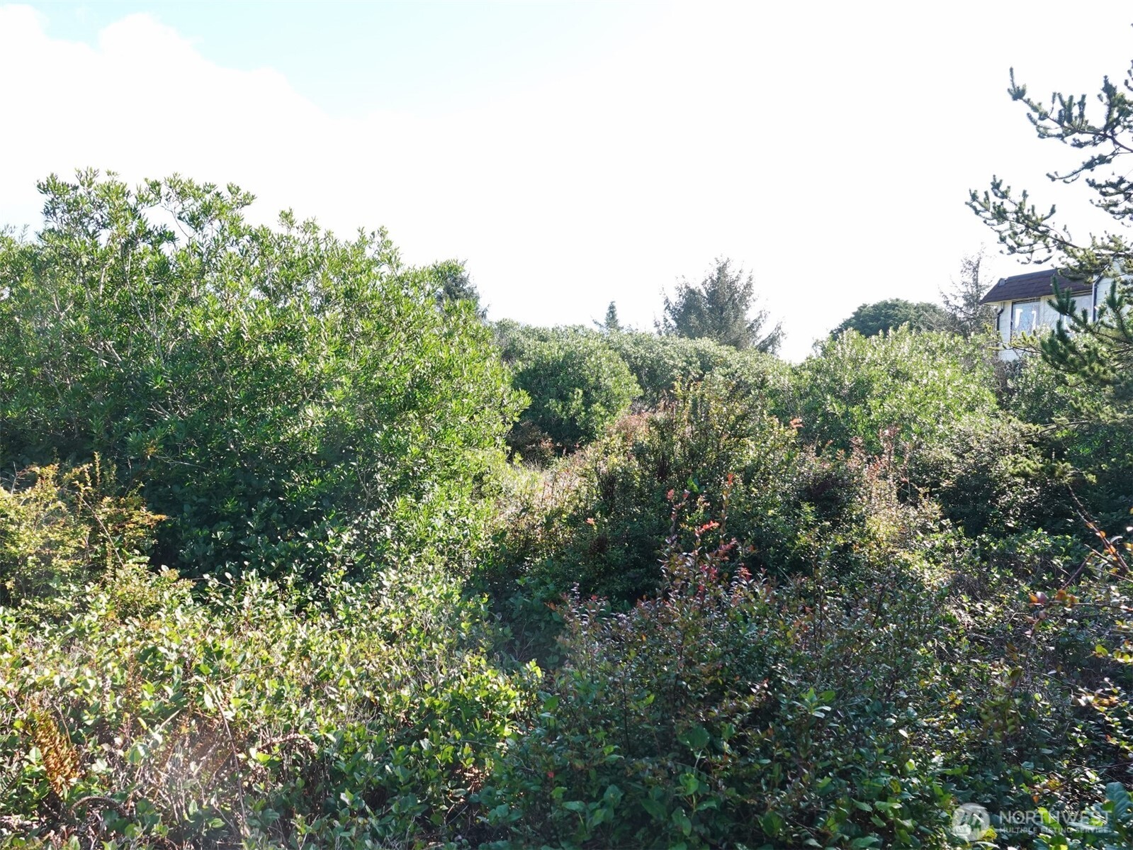 470 Sand Dune Avenue Property Photo 6