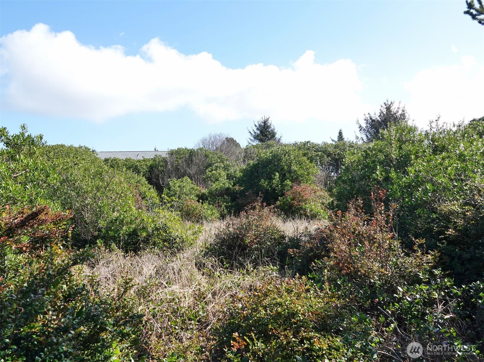 470 Sand Dune Avenue Property Photo 7