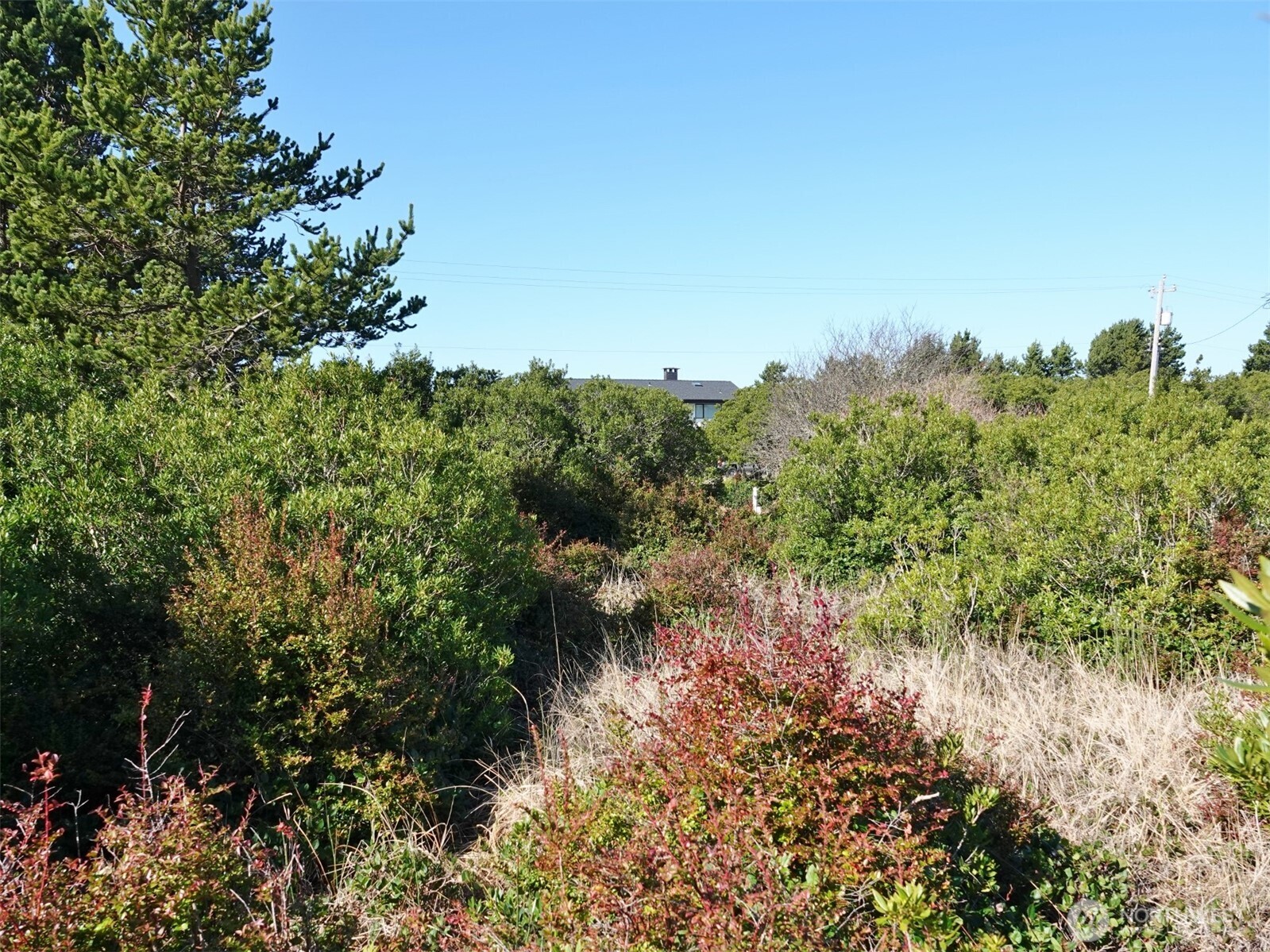 470 Sand Dune Avenue Property Photo 8