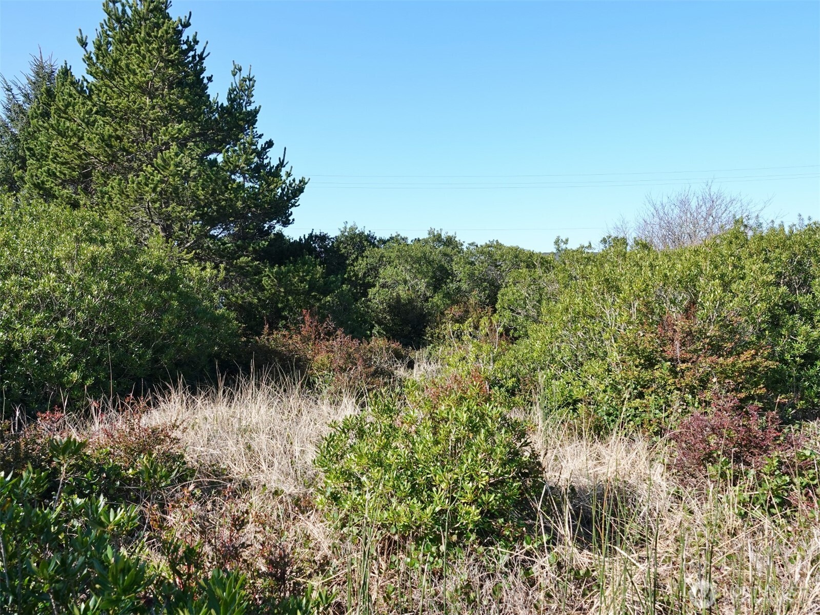 470 Sand Dune Avenue Property Photo 9