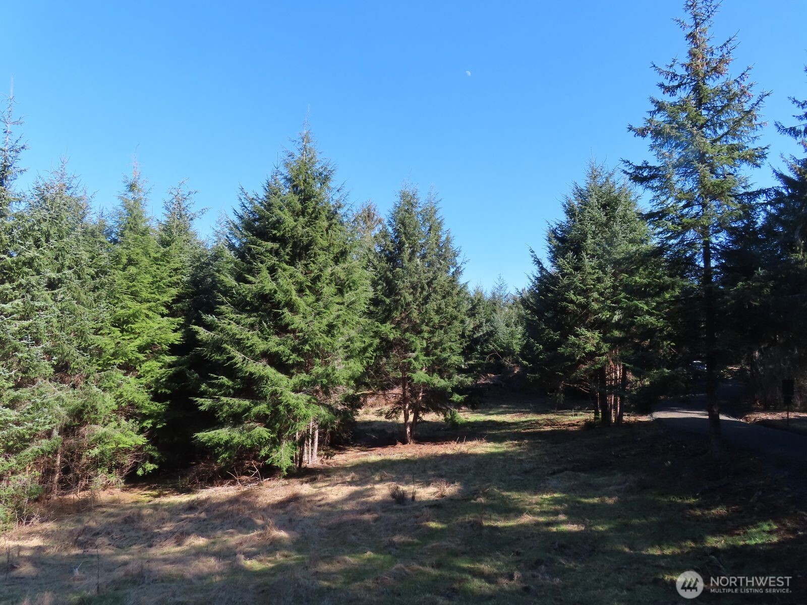 80 Wilson Lane Property Photo 1