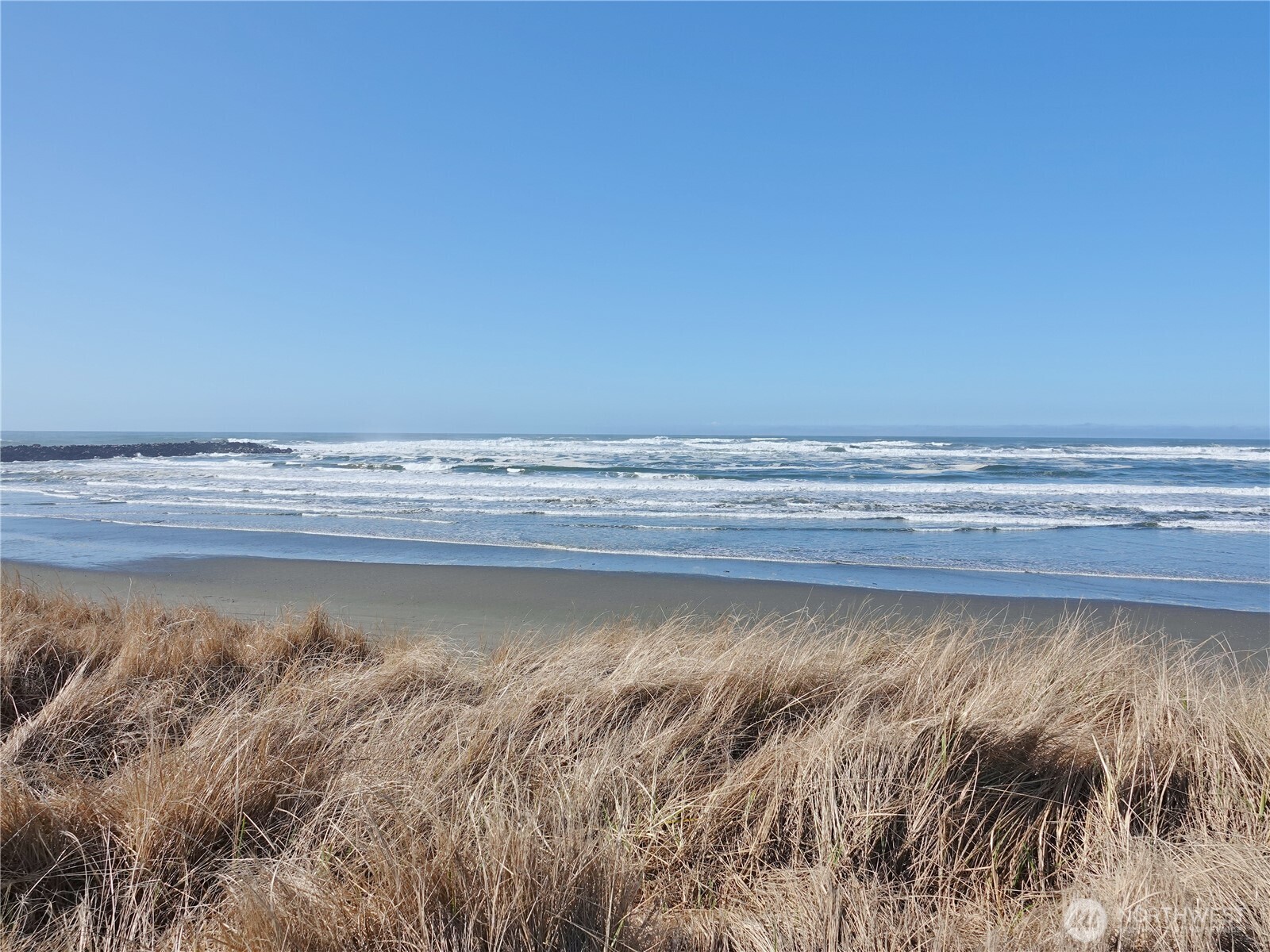 1449 Ocean Shores Boulevard Property Photo 2