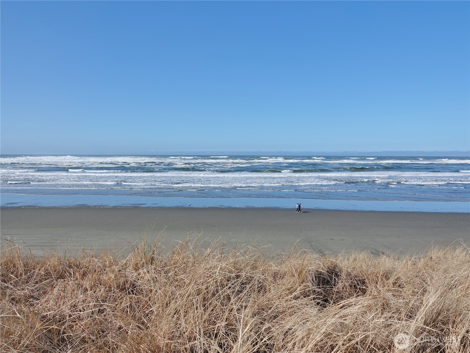 1449 Ocean Shores Boulevard Property Photo 3