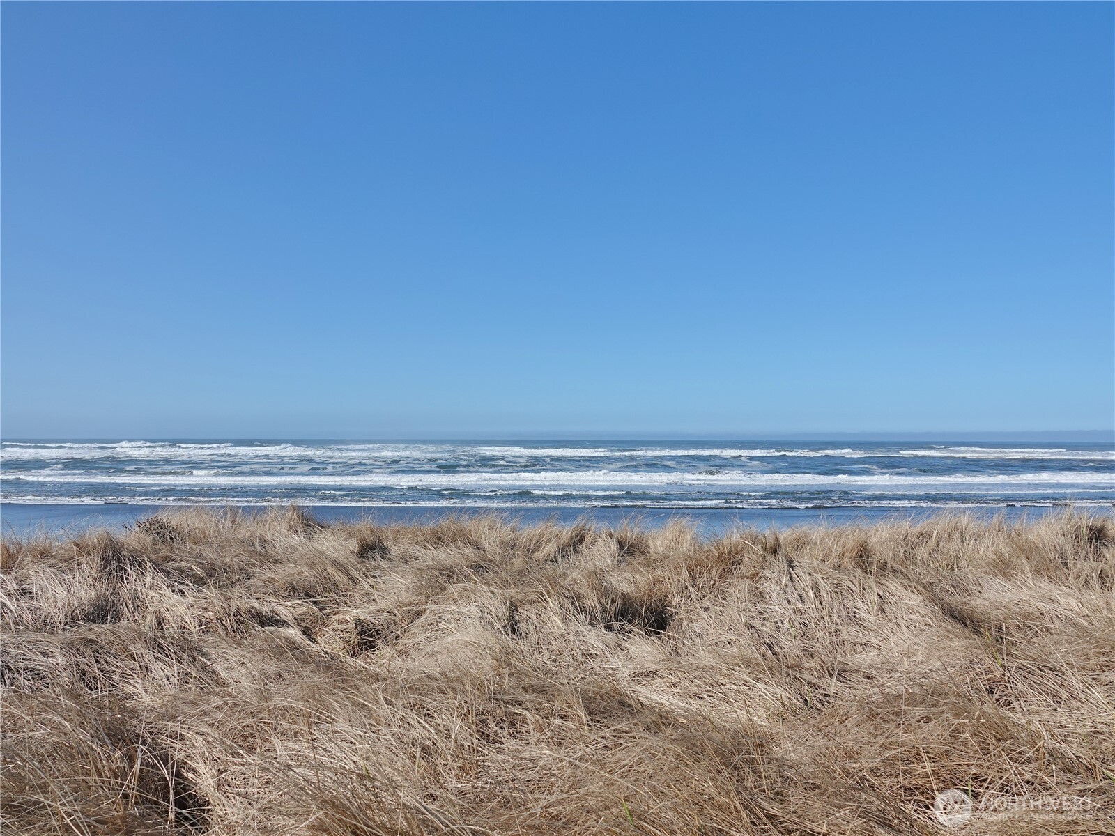 1449 Ocean Shores Boulevard Property Photo 4