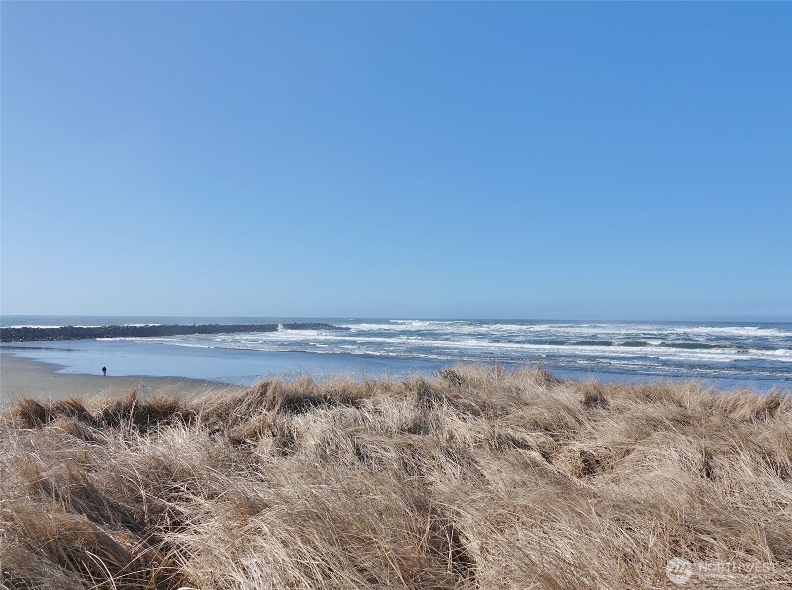 1449 Ocean Shores Boulevard Property Photo 6