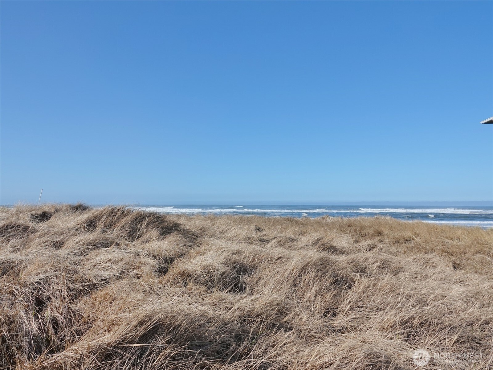 1449 Ocean Shores Boulevard Property Photo 7