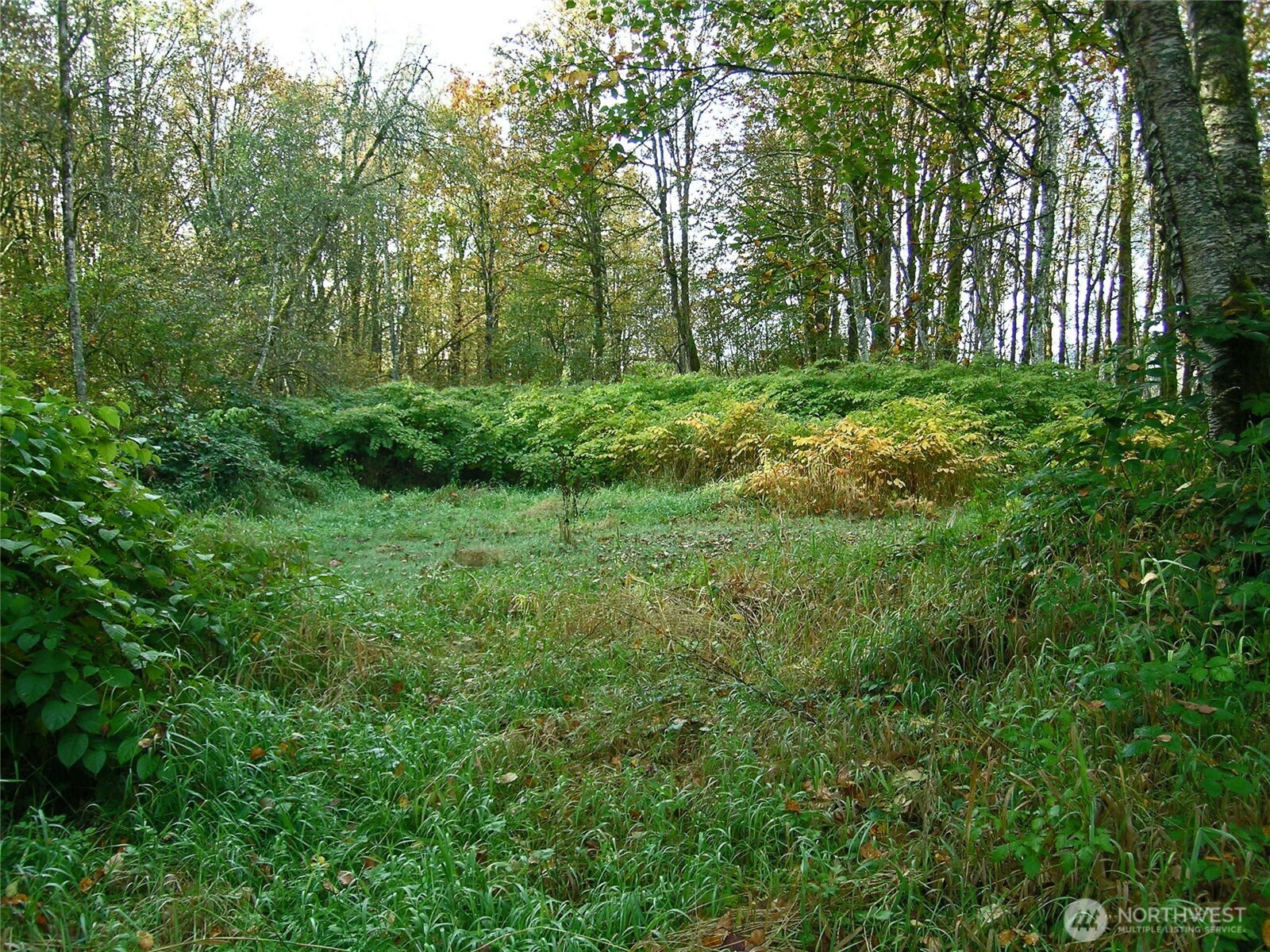 5973 North Fork Road Property Photo