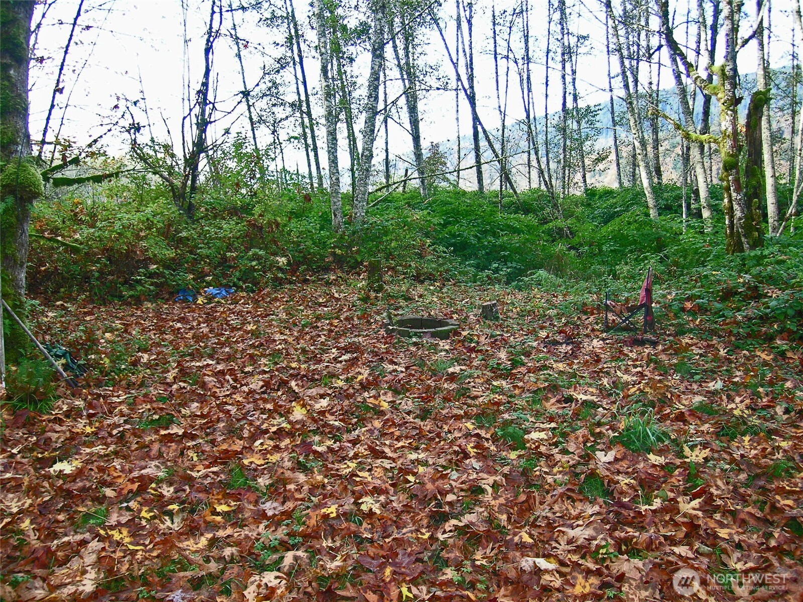 5973 North Fork Road Property Photo 6