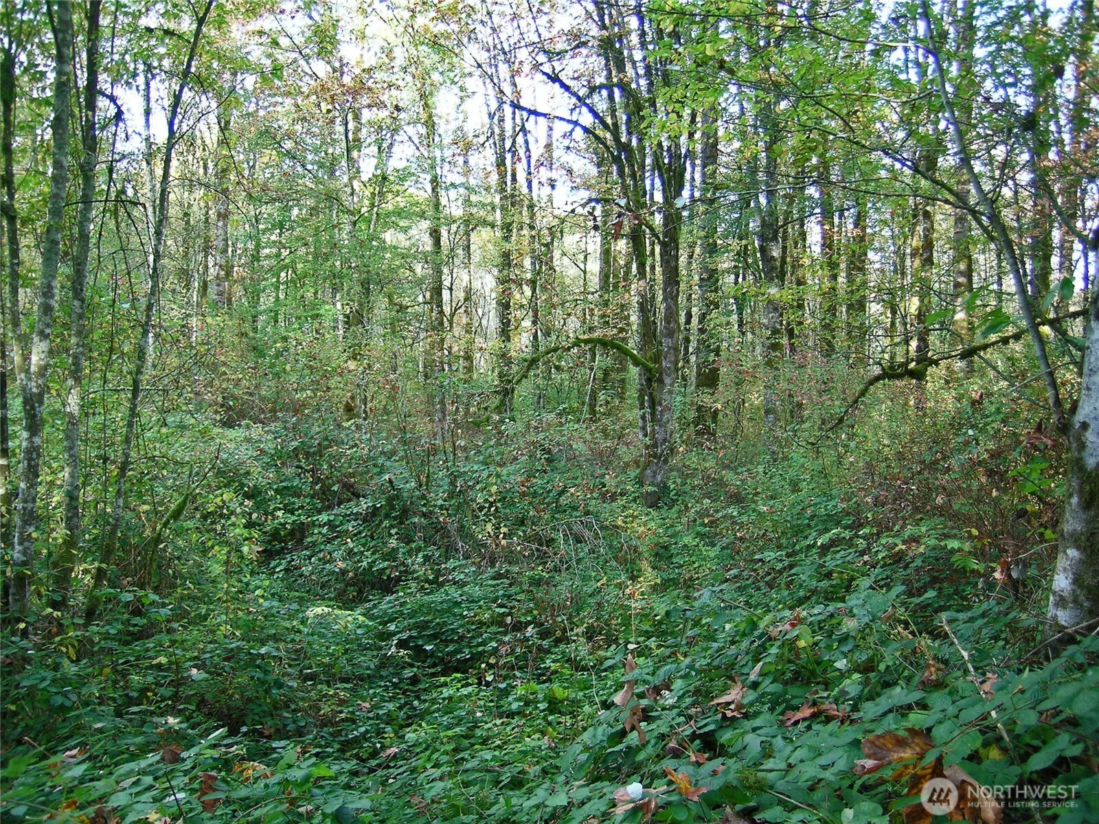 5973 North Fork Road Property Photo 7