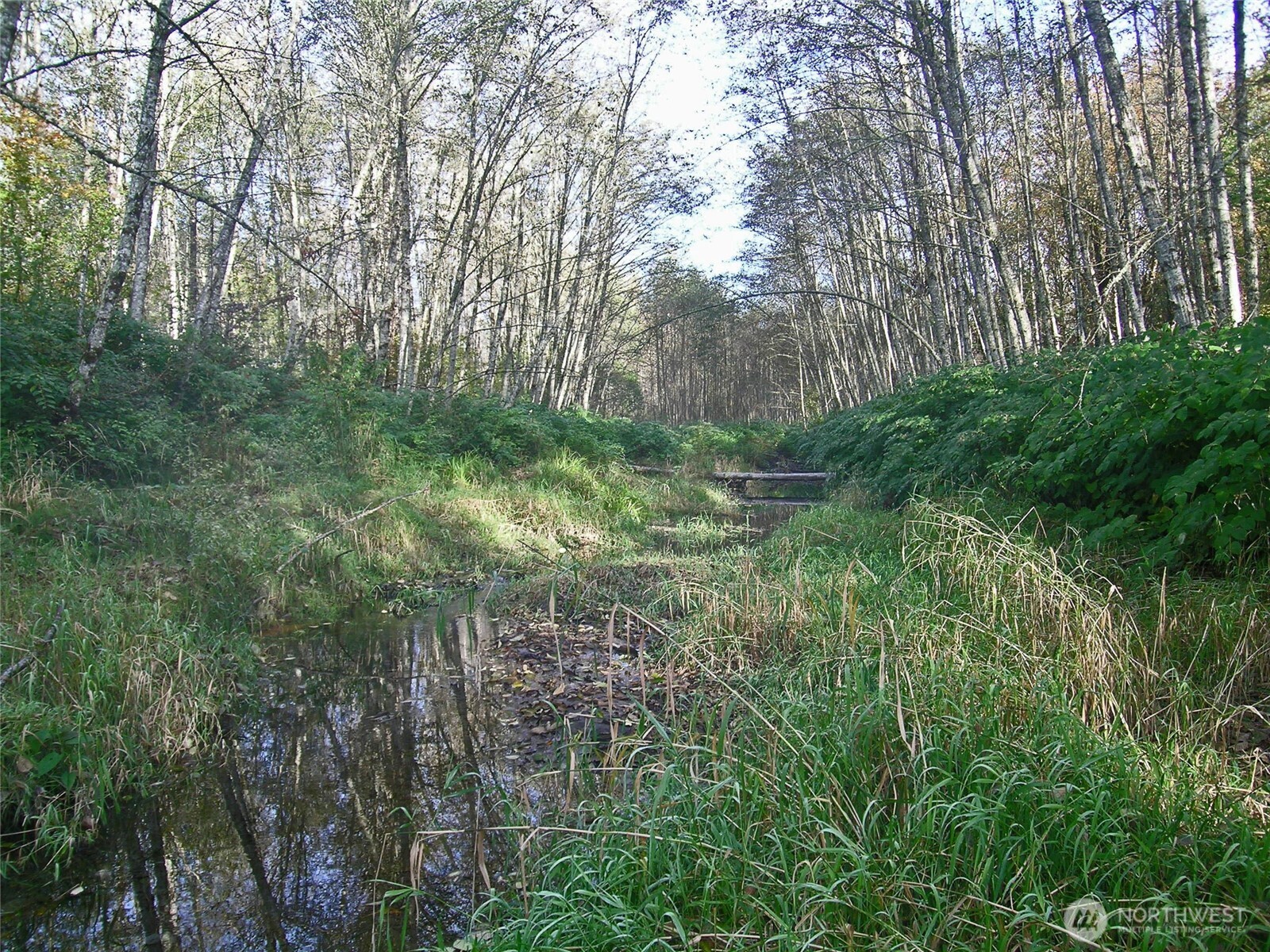 5973 North Fork Road Property Photo 8