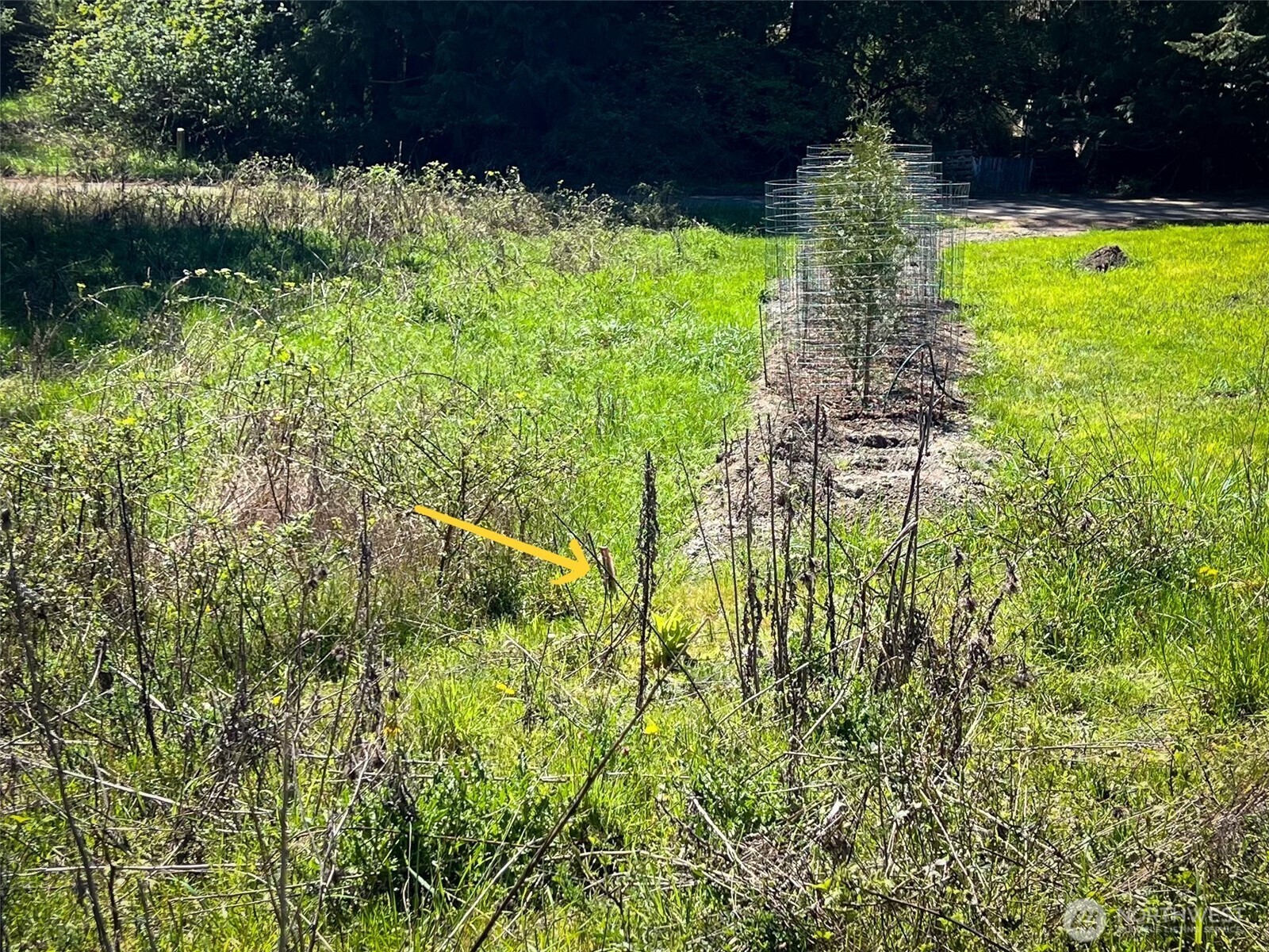 1219 S Street Property Photo 4