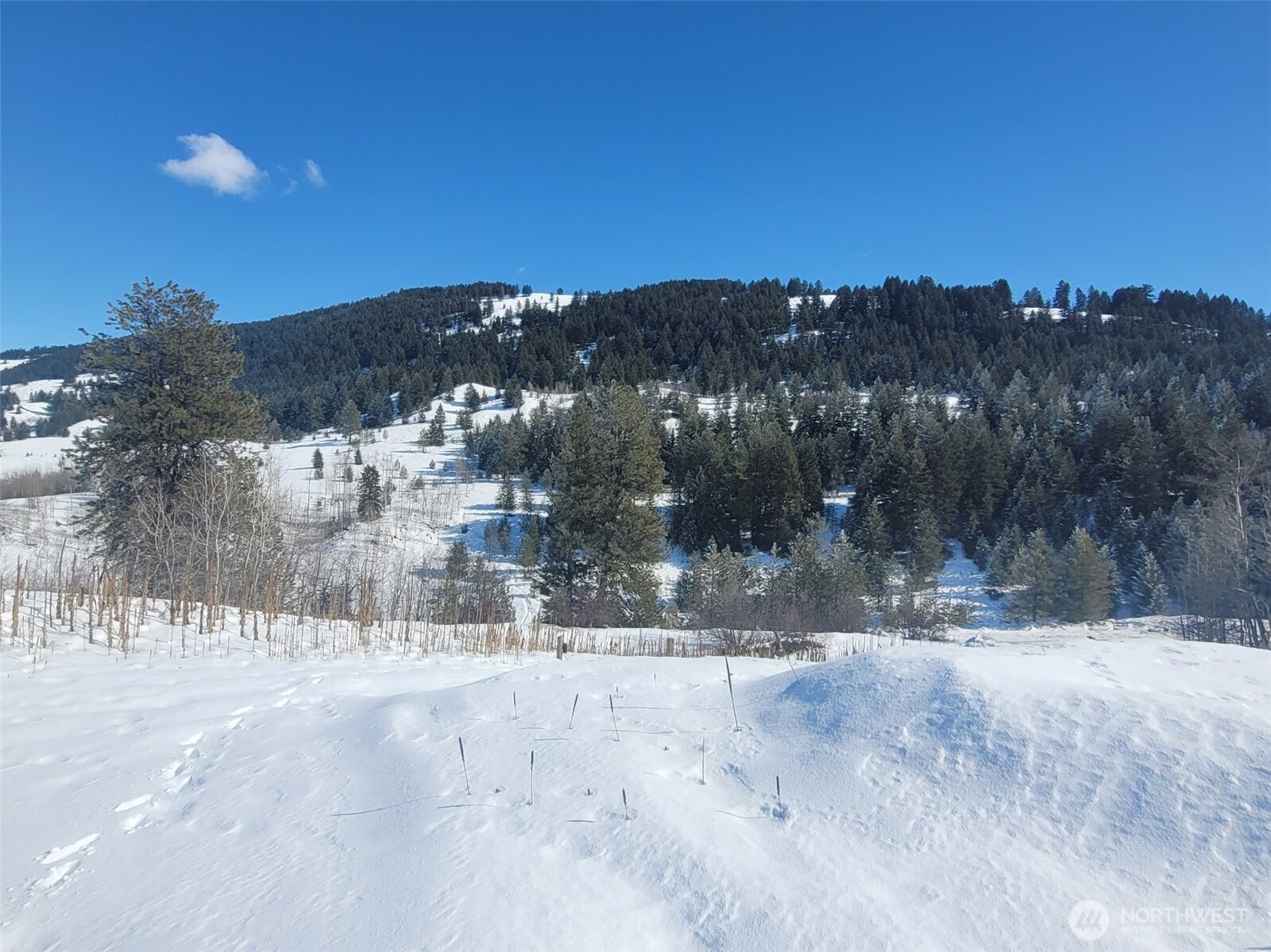 0 Old Railroad Road Property Photo