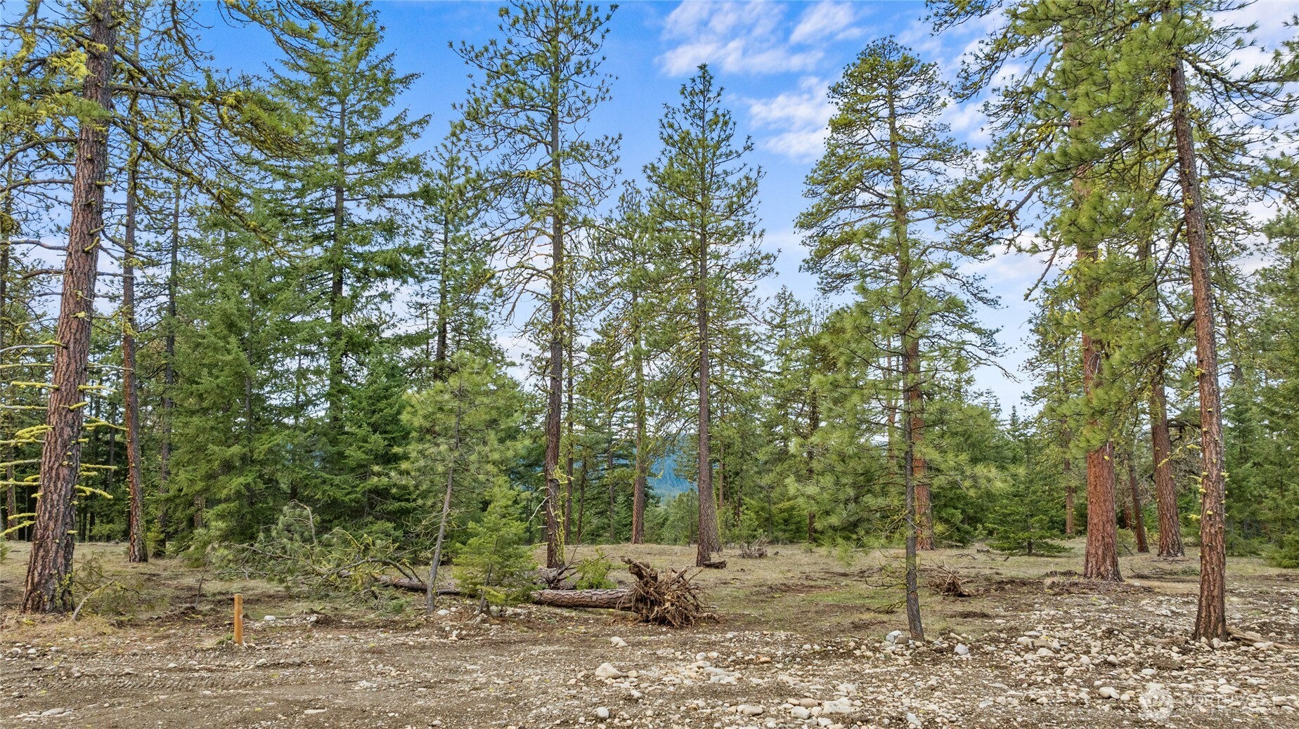 25 Wanawish Loop Property Photo 4