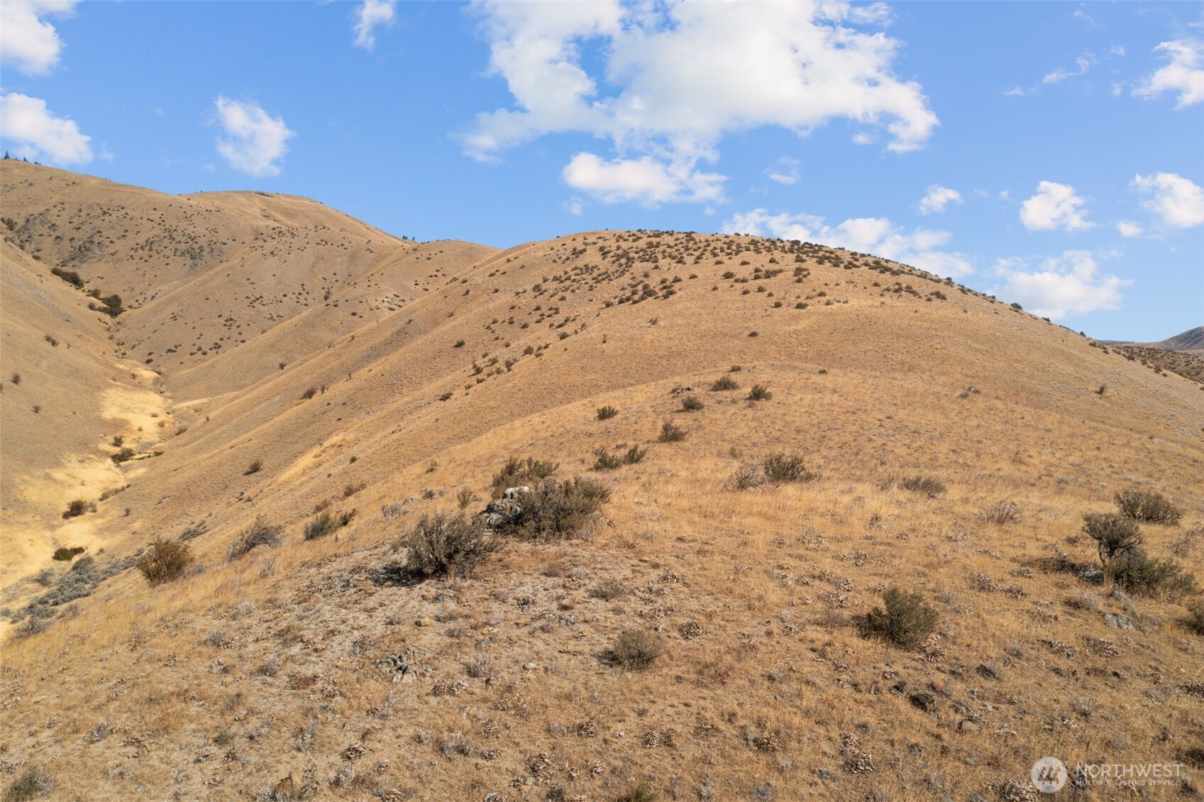 0 Lot 5 Entiat River Road Property Photo 21