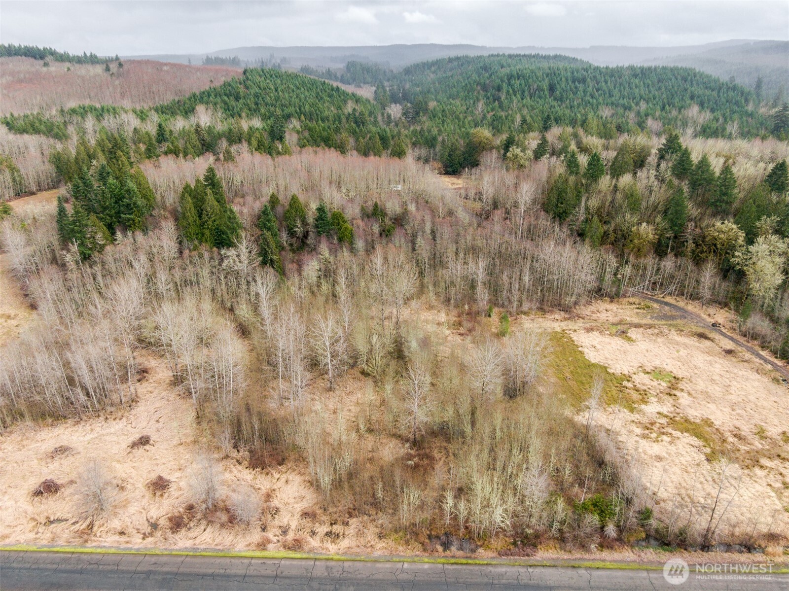 123 Hill Creek Road Property Photo 4