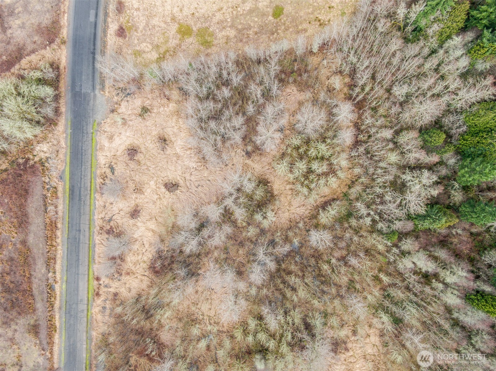 123 Hill Creek Road Property Photo 12