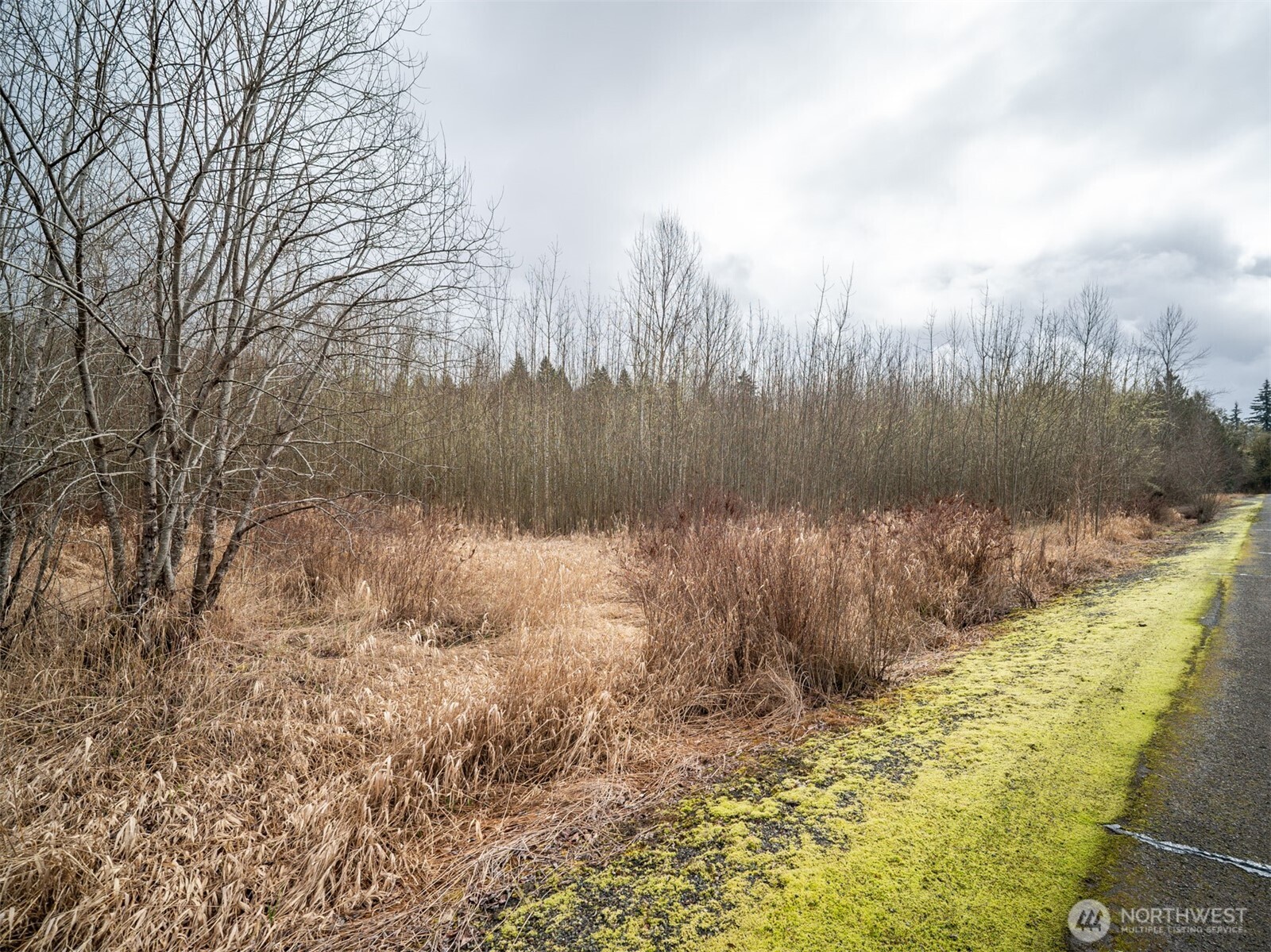 123 Hill Creek Road Property Photo 13