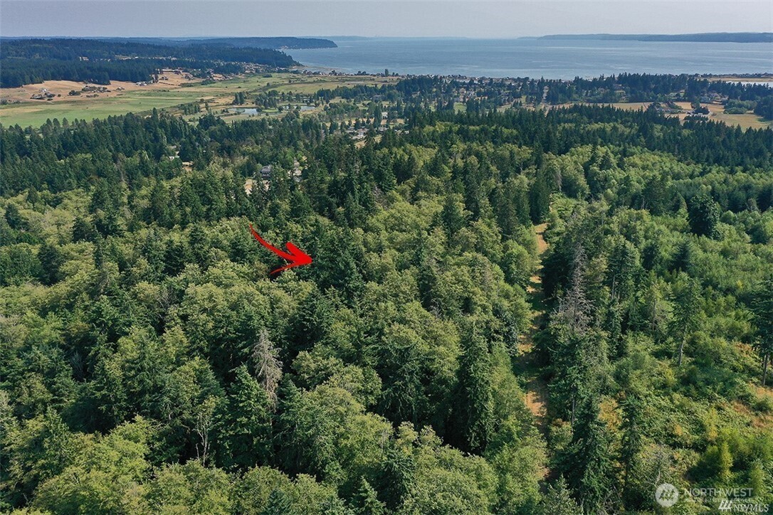 0 Lot 7 Thompson Road Property Photo 3