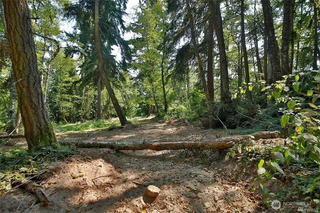 0 Lot 7 Thompson Road Property Photo 4