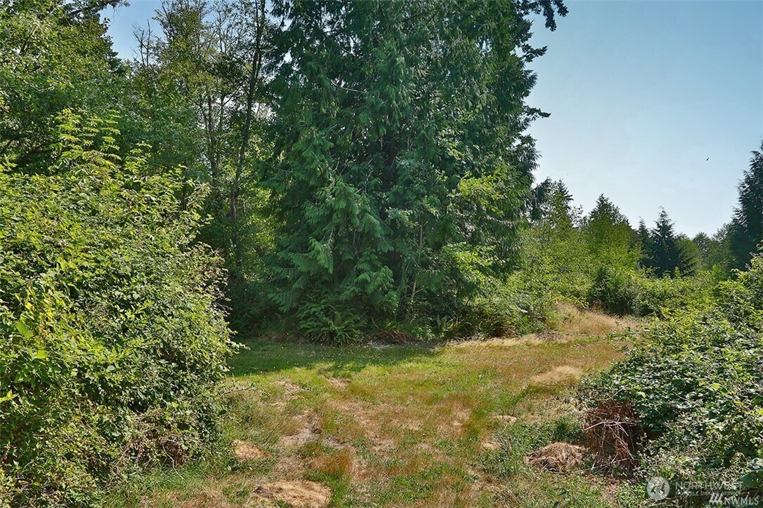 0 Lot 7 Thompson Road Property Photo 6