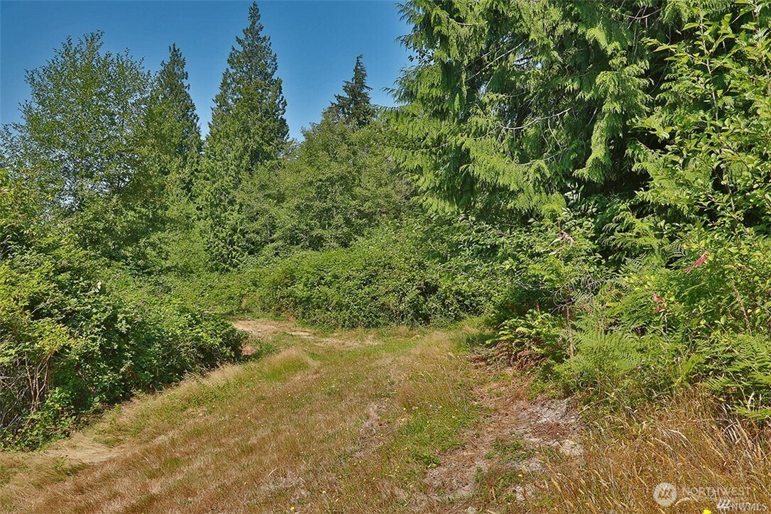 0 Lot 7 Thompson Road Property Photo 7