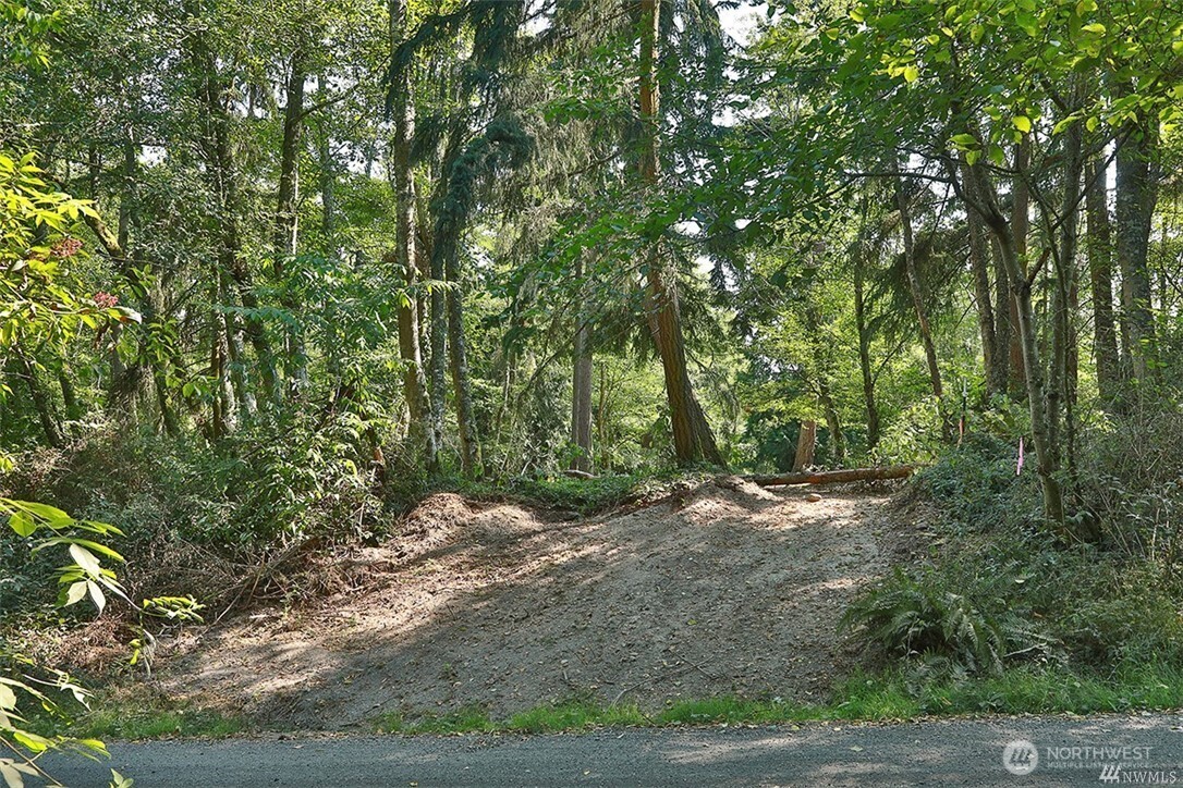 0 Lot 7 Thompson Road Property Photo 8