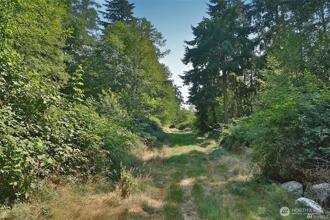 0 Lot 7 Thompson Road Property Photo 9