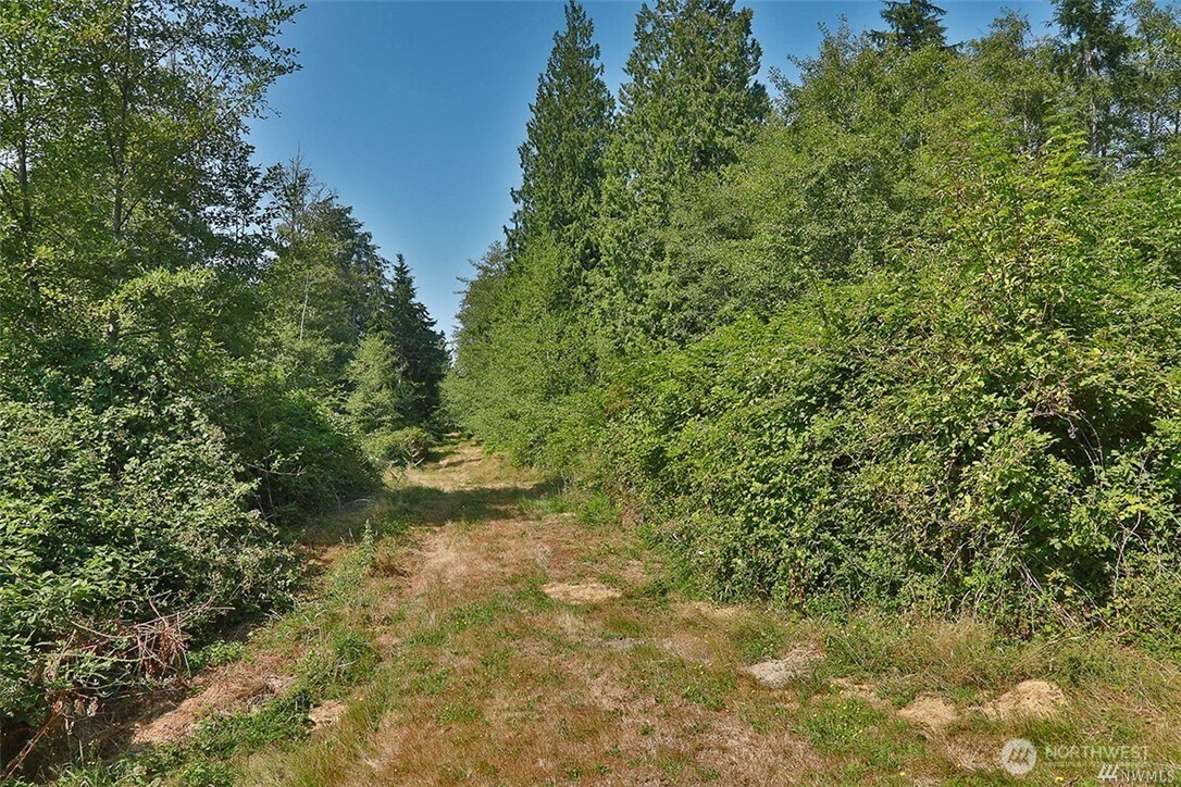 0 Lot 7 Thompson Road Property Photo 10