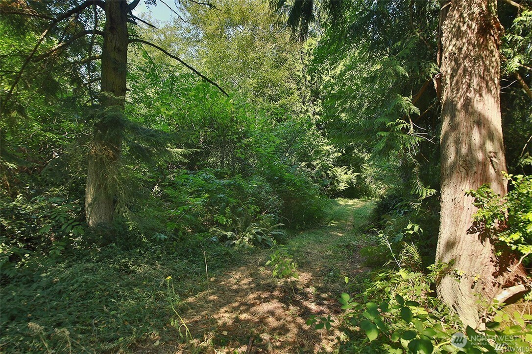 0 Lot 7 Thompson Road Property Photo 11