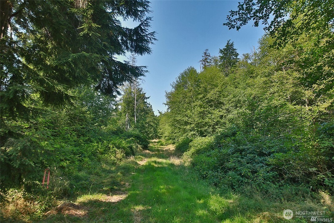 0 Lot 7 Thompson Road Property Photo 14
