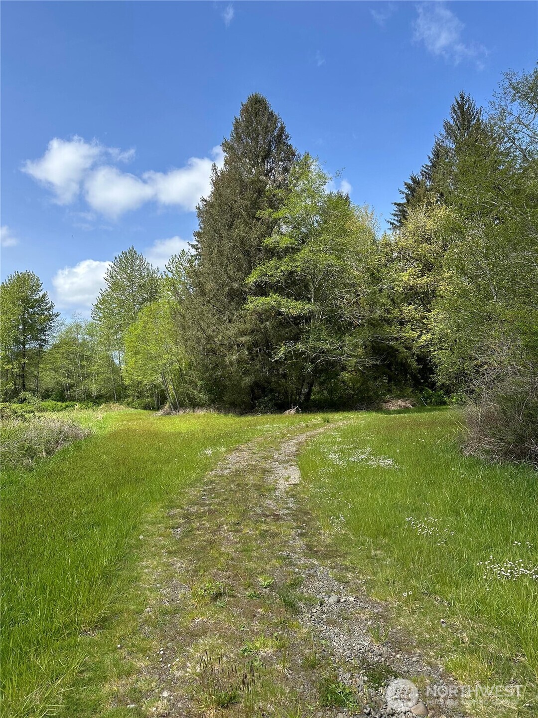5 Wiley Road Property Photo 40