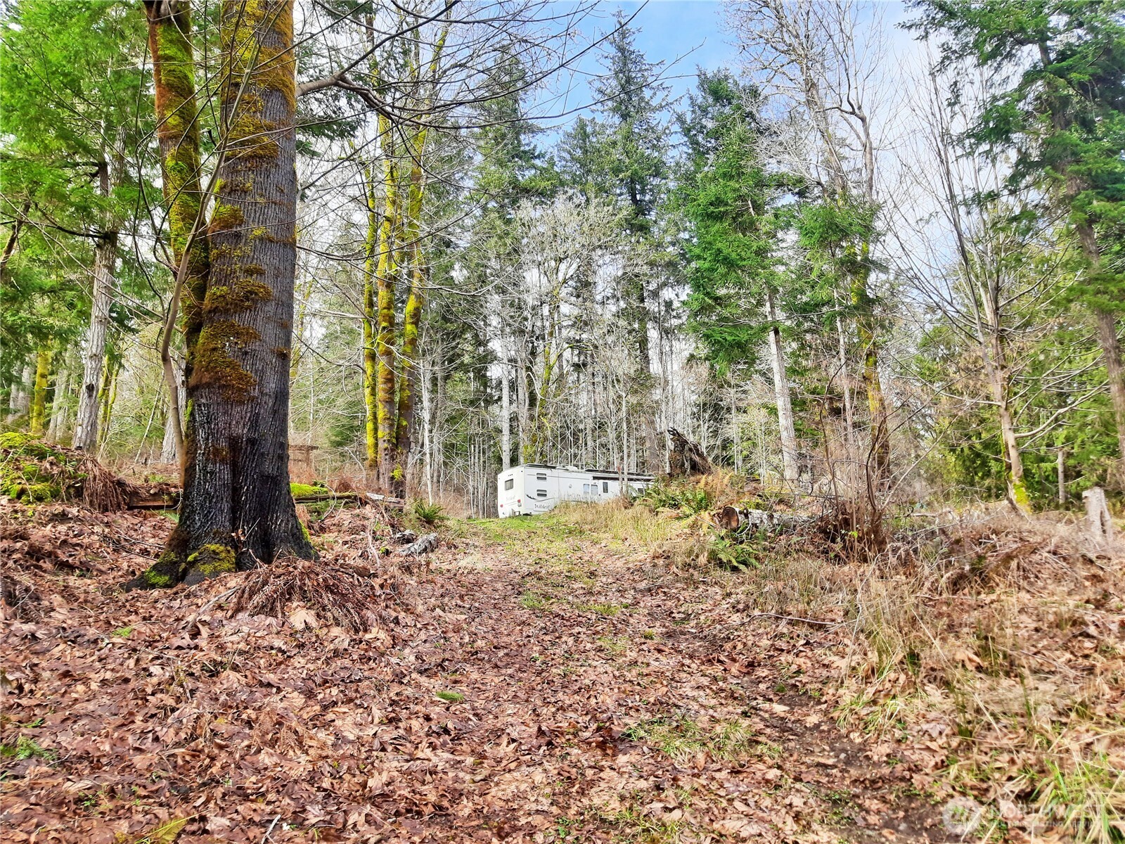 999 Carl Johnson Road Property Photo 11
