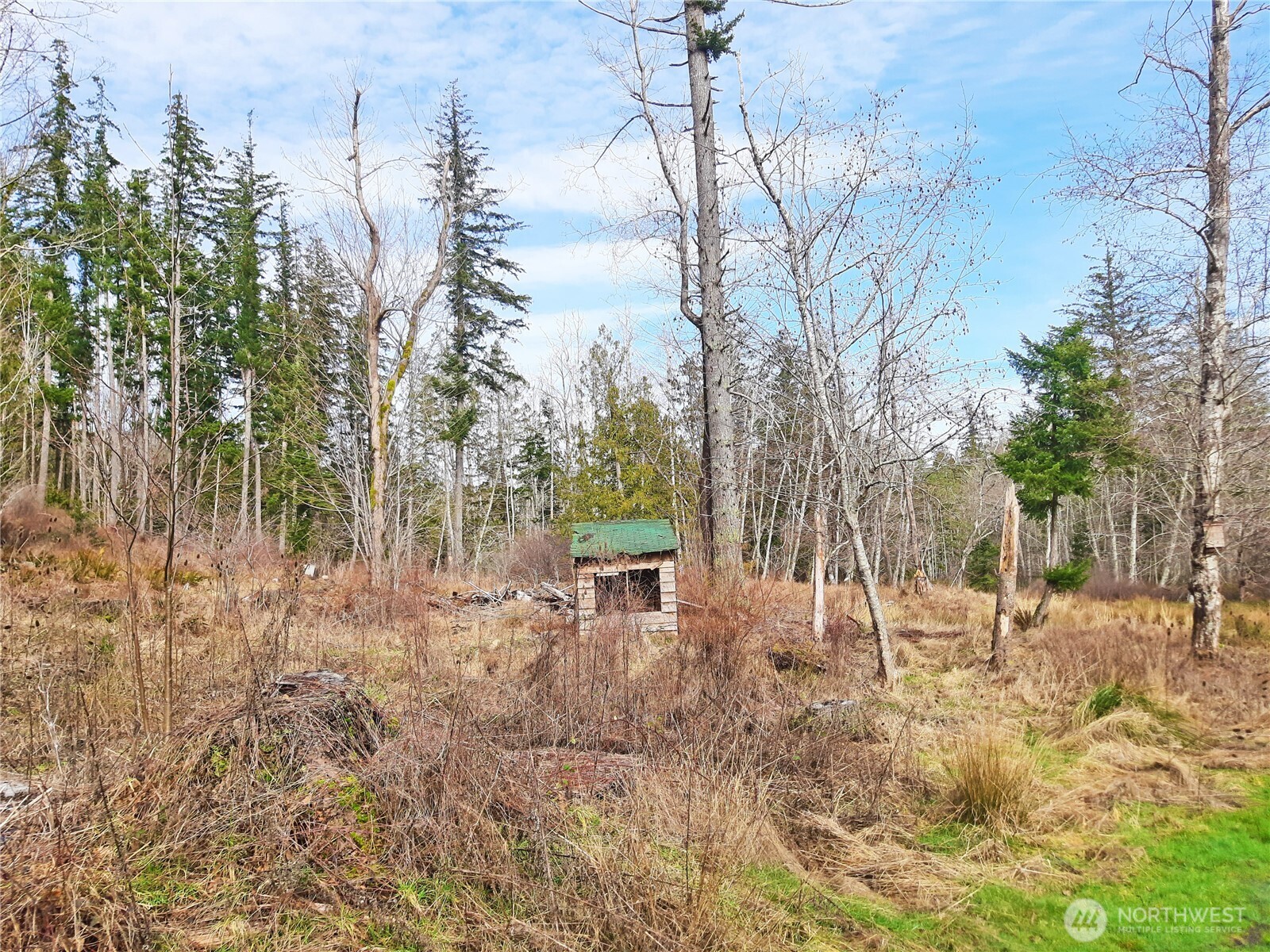 999 Carl Johnson Road Property Photo 19