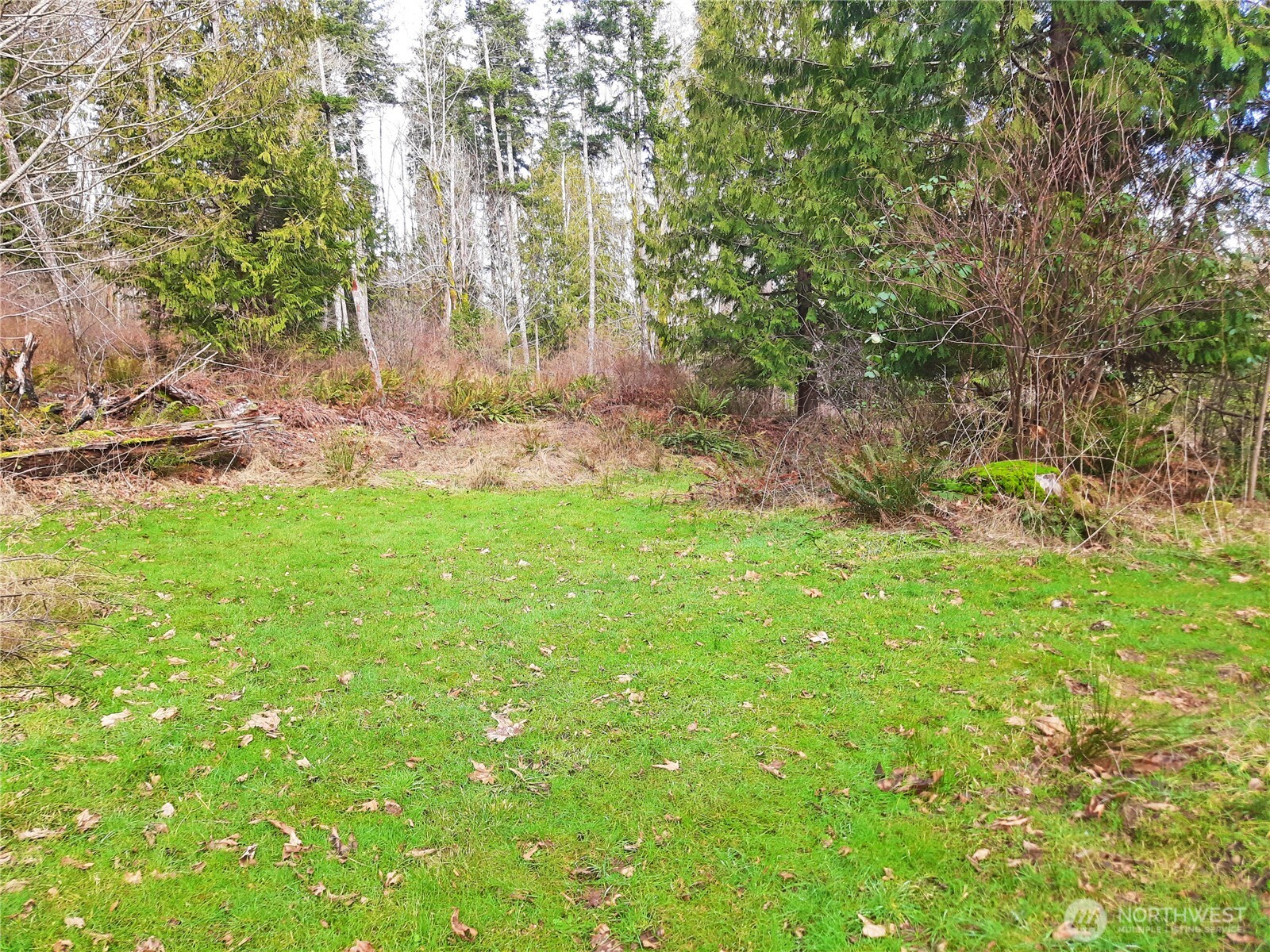 999 Carl Johnson Road Property Photo 20