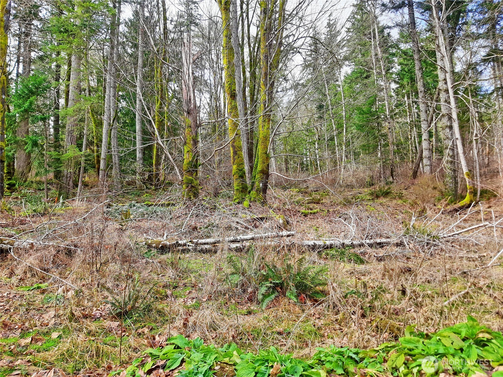 999 Carl Johnson Road Property Photo 21