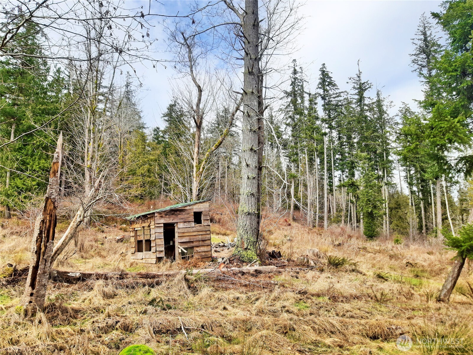 999 Carl Johnson Road Property Photo 22
