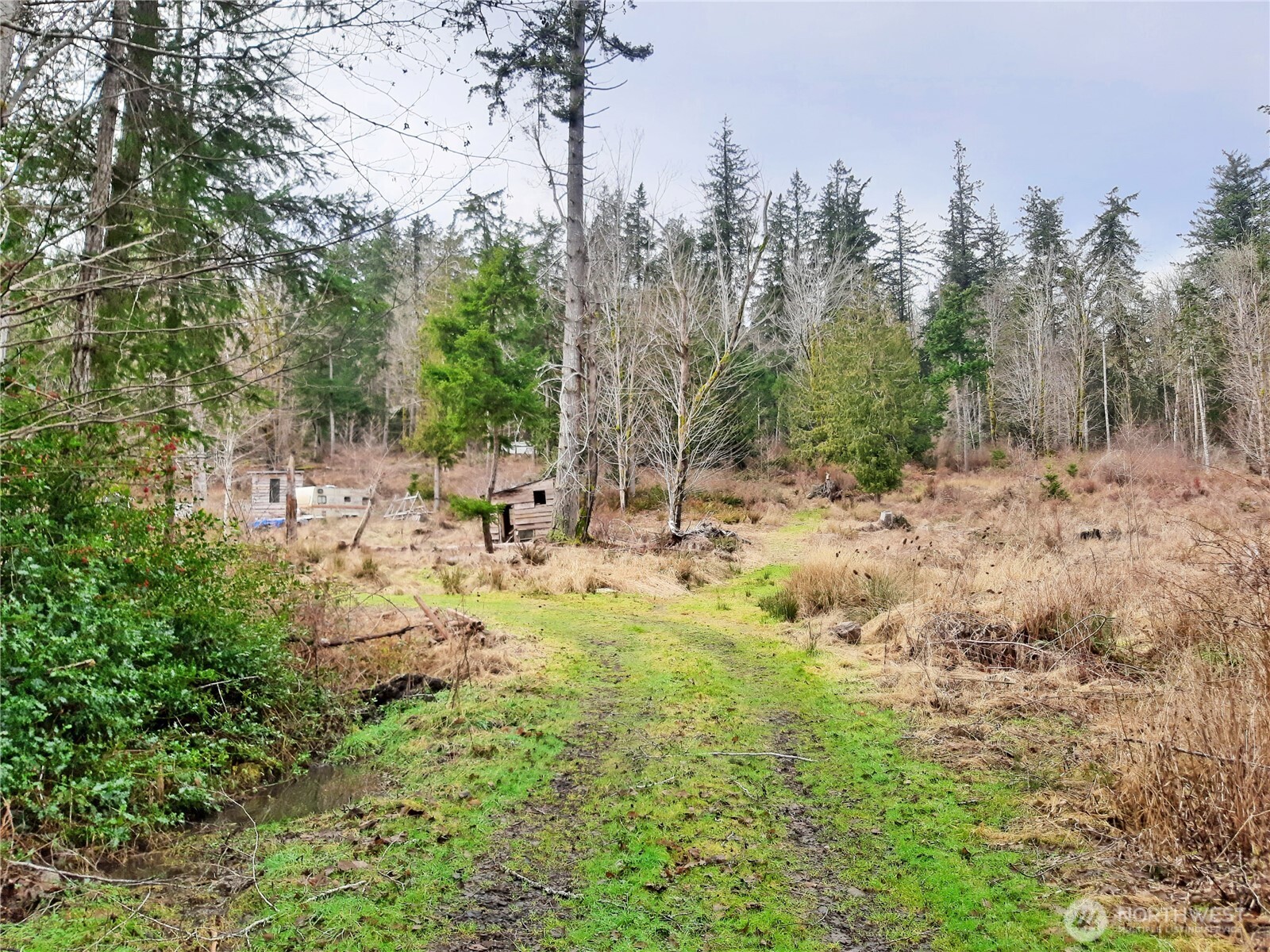 999 Carl Johnson Road Property Photo 23